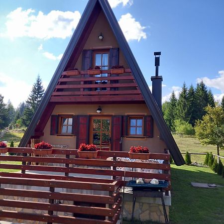 Mountain House Tadic 1 Vila Bajina Basta Exterior foto