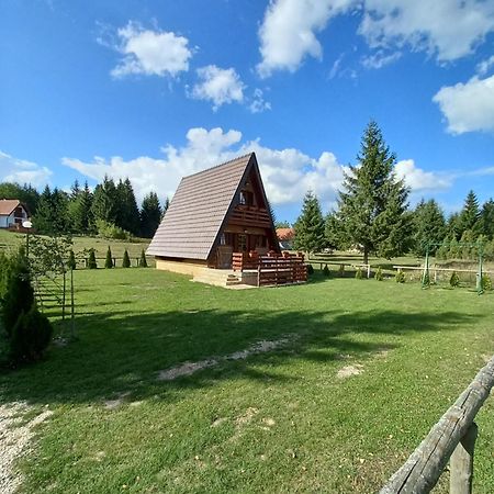 Mountain House Tadic 1 Vila Bajina Basta Exterior foto