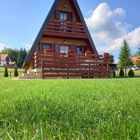 Mountain House Tadic 1 Vila Bajina Basta Exterior foto
