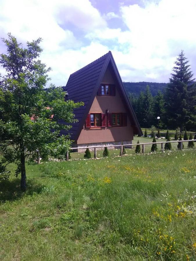 Mountain House Tadic 1 Vila Bajina Basta Exterior foto
