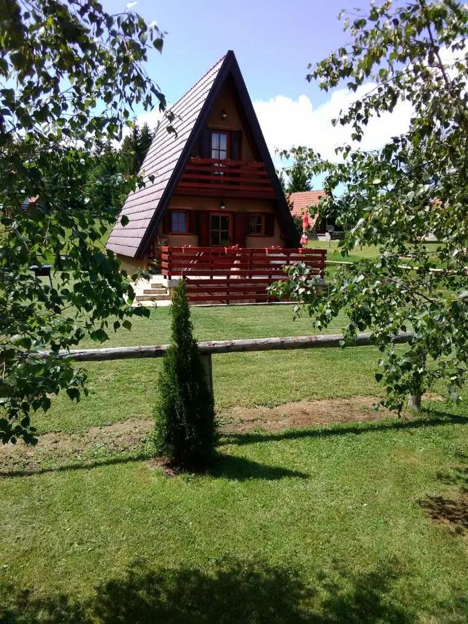 Mountain House Tadic 1 Vila Bajina Basta Exterior foto