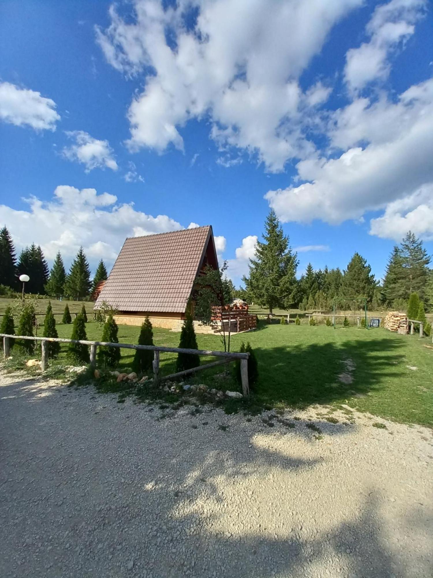 Mountain House Tadic 1 Vila Bajina Basta Exterior foto