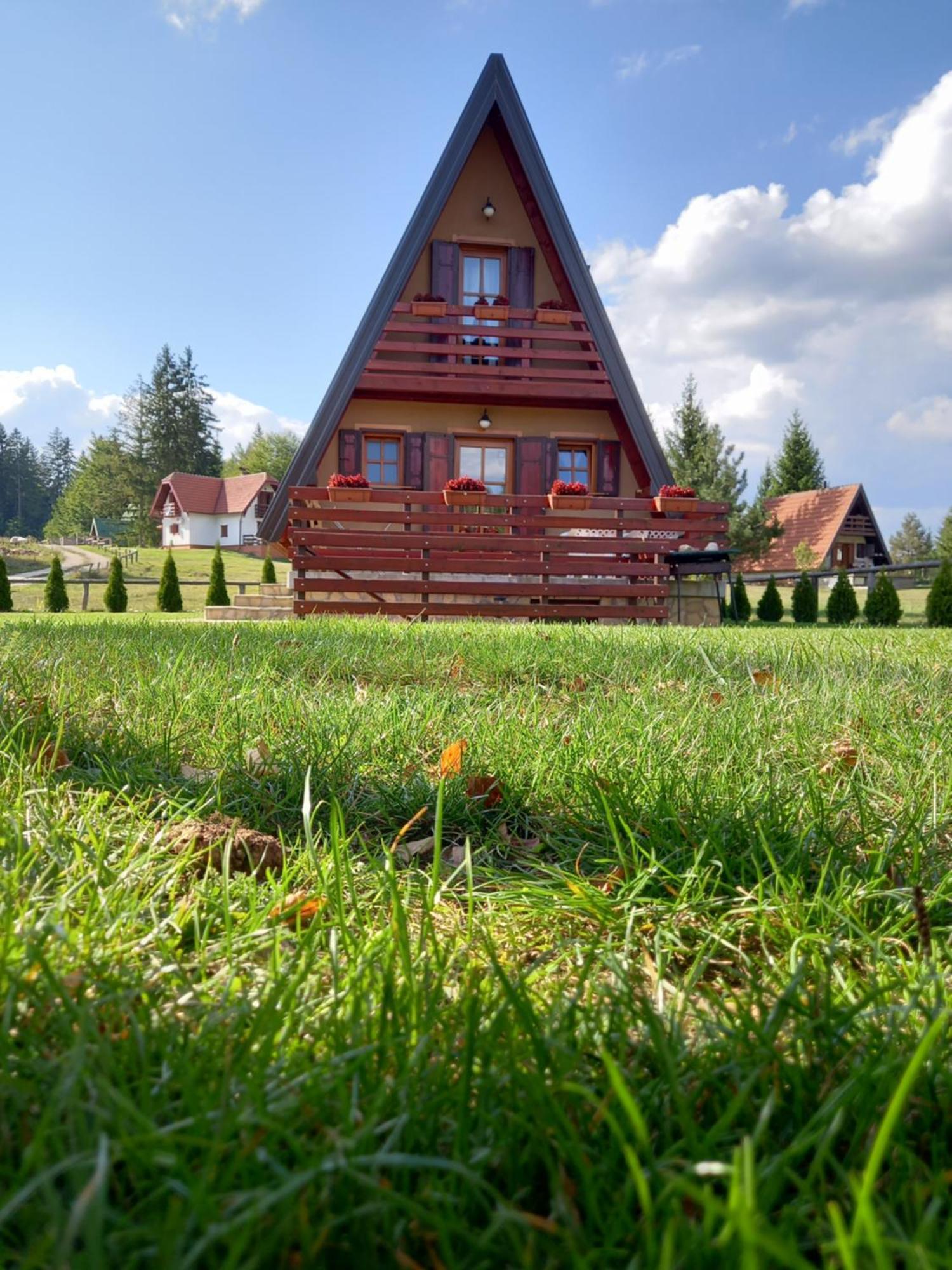 Mountain House Tadic 1 Vila Bajina Basta Exterior foto