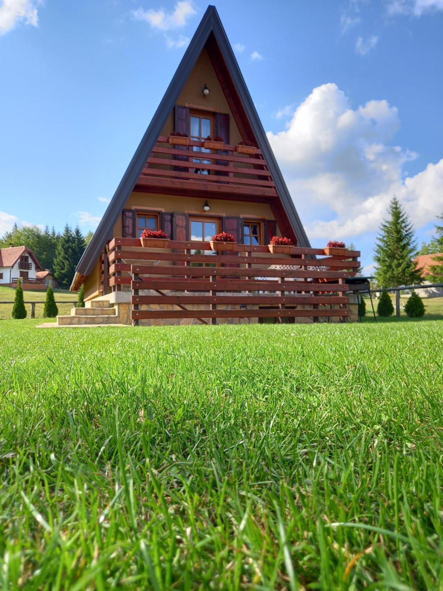 Mountain House Tadic 1 Vila Bajina Basta Exterior foto