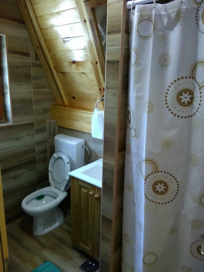 Mountain House Tadic 1 Vila Bajina Basta Exterior foto