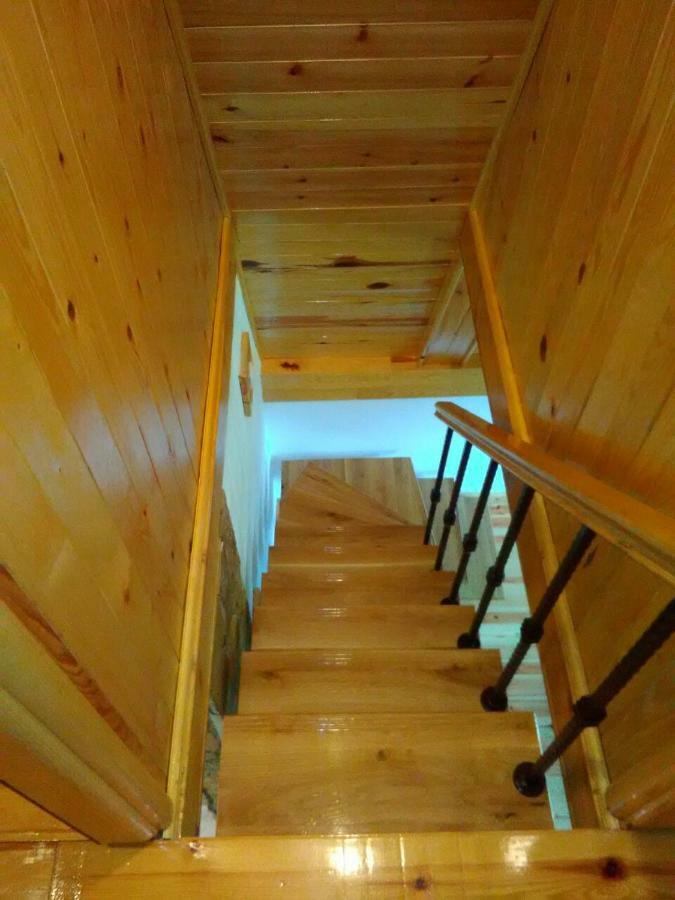 Mountain House Tadic 1 Vila Bajina Basta Exterior foto
