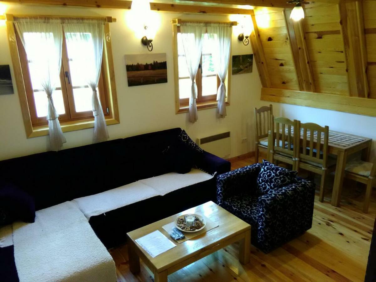 Mountain House Tadic 1 Vila Bajina Basta Exterior foto
