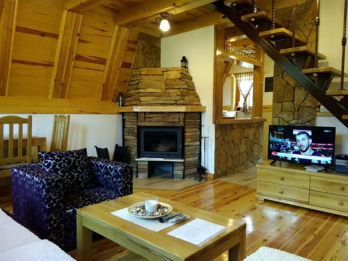 Mountain House Tadic 1 Vila Bajina Basta Exterior foto