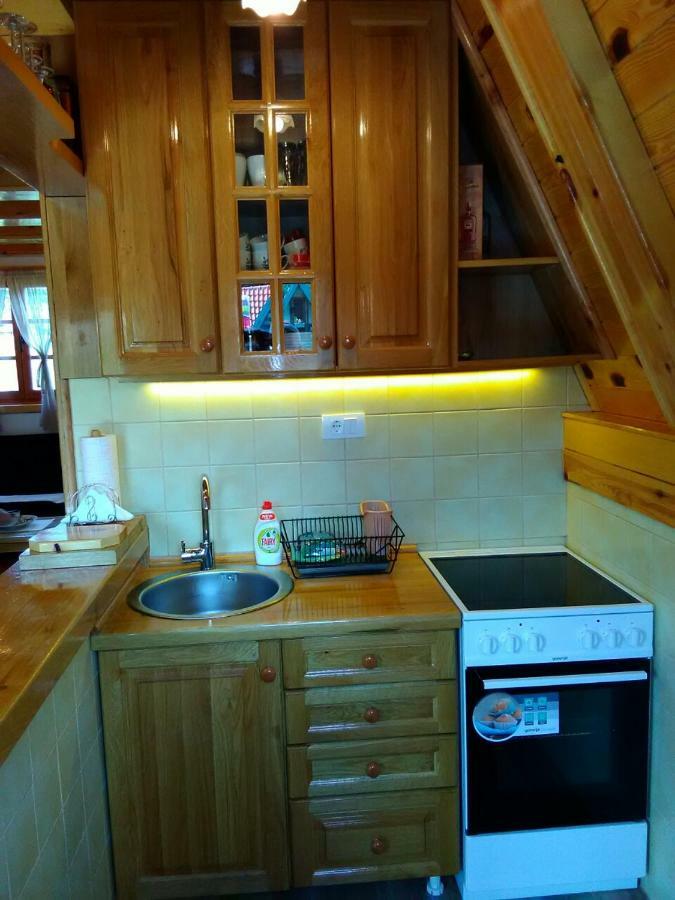 Mountain House Tadic 1 Vila Bajina Basta Exterior foto