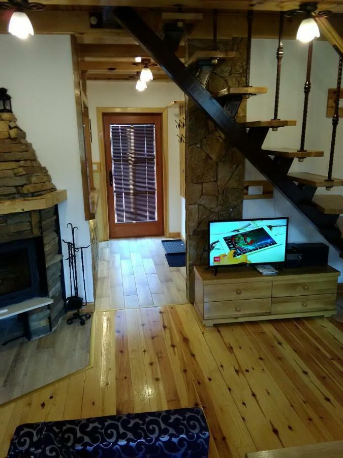 Mountain House Tadic 1 Vila Bajina Basta Exterior foto