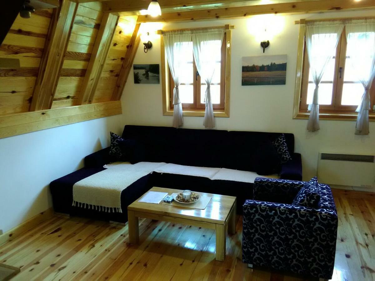 Mountain House Tadic 1 Vila Bajina Basta Exterior foto