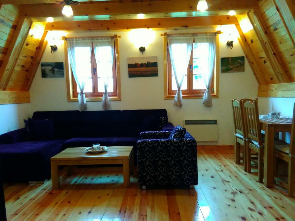 Mountain House Tadic 1 Vila Bajina Basta Exterior foto