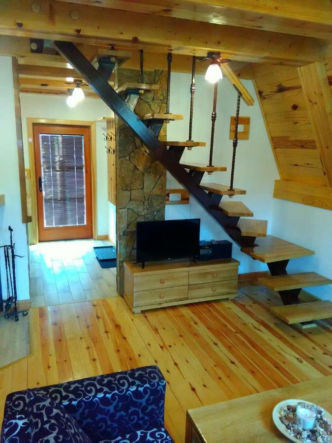 Mountain House Tadic 1 Vila Bajina Basta Exterior foto