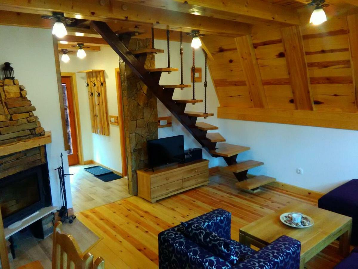 Mountain House Tadic 1 Vila Bajina Basta Exterior foto