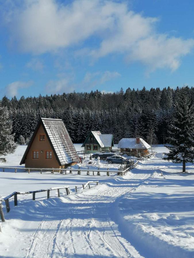 Mountain House Tadic 1 Vila Bajina Basta Exterior foto