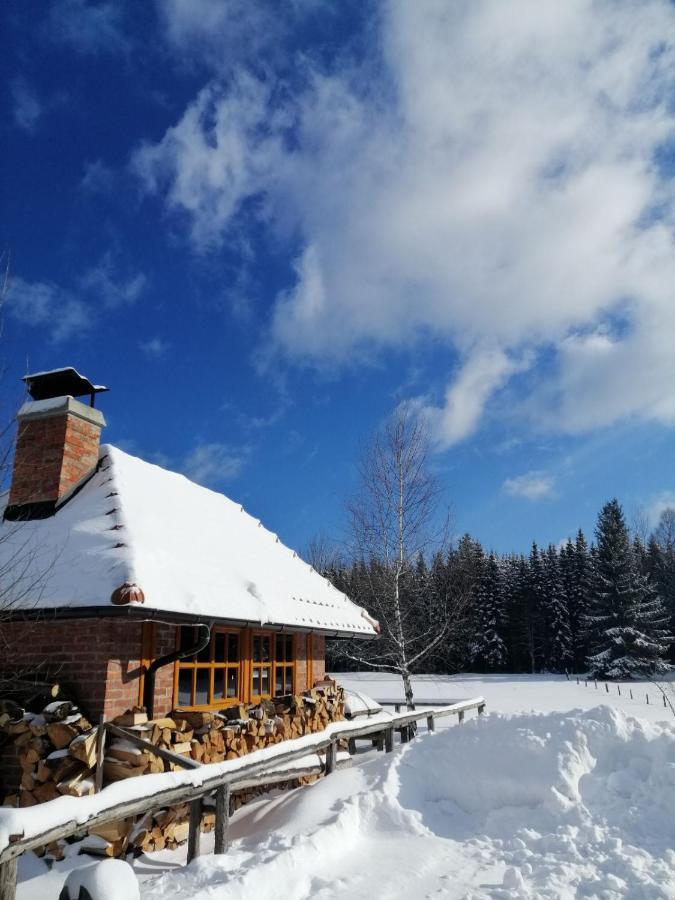 Mountain House Tadic 1 Vila Bajina Basta Exterior foto